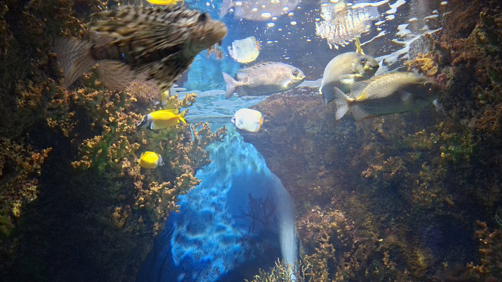 20250920 115737 (Copy)